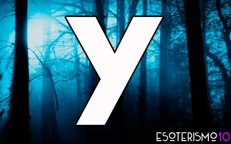 Representación de la Y