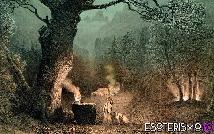 animales en la cultura celta