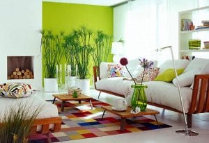 La historia oculta del Feng Shui